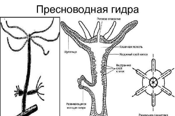 Кракен даркнет площадка kraken 11